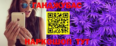крисы Можга