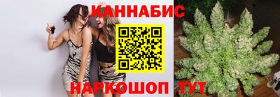 крисы Можга