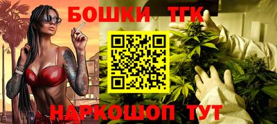 крисы Можга