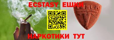 крисы Можга