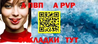 крисы Можга