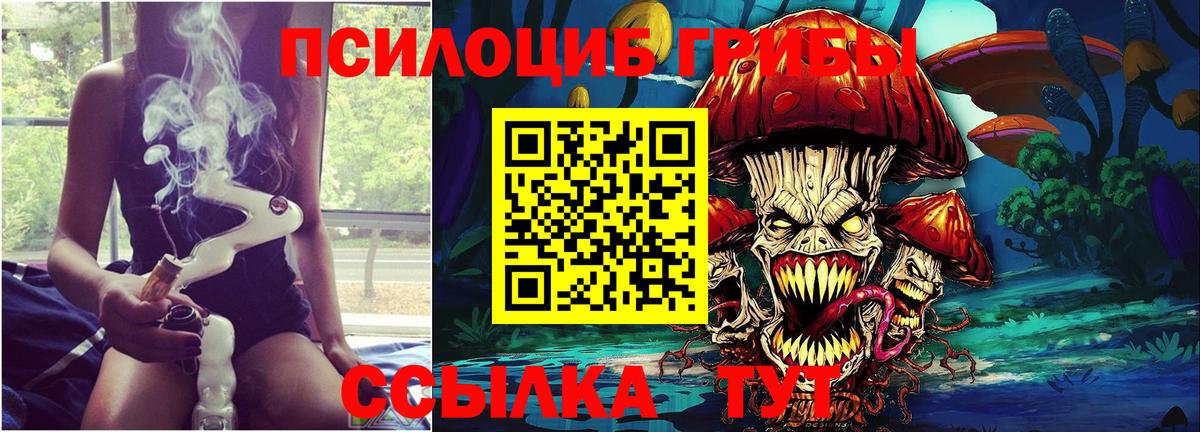 Удомля  Псилоцибиновые грибы Magic Shrooms  Вход с VPN 